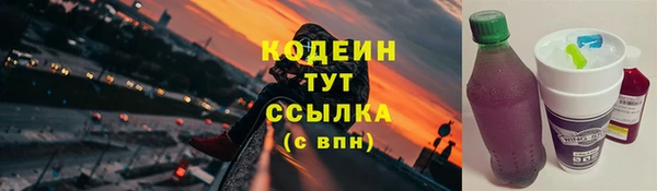 спиды Абаза