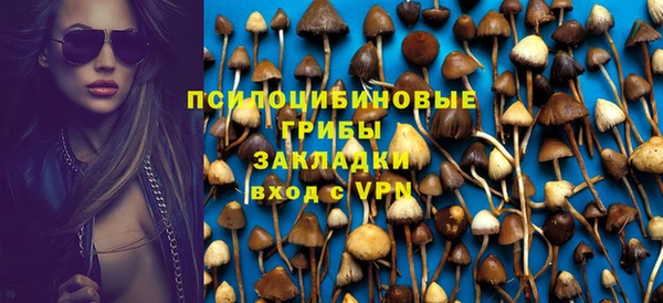 спиды Абаза