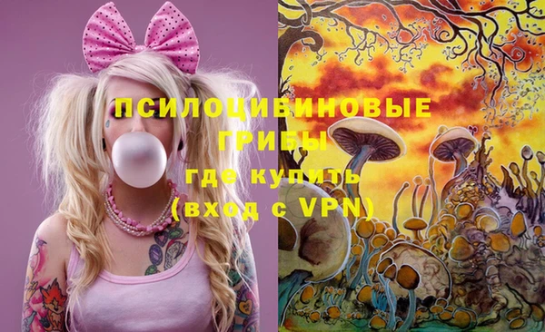 спиды Абаза