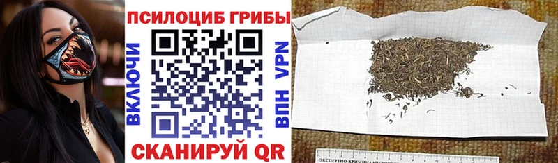 купить наркотик Сызрань Галлюциногенные грибы ЛСД